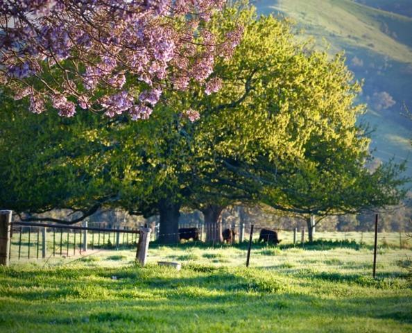 Alexandra Farmstay Eksteriør bilde